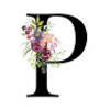 pame110705